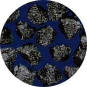 cbn850n.jpg (23800 ֹ)