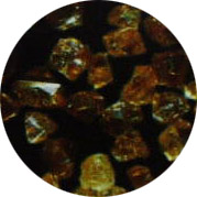 cbn900.jpg (20555 ֹ)