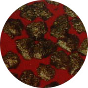 cbn900n.jpg (21643 ֹ)