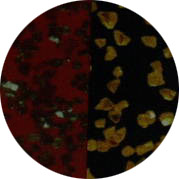 cbnm800.jpg (16881 ֹ)