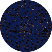 cbnm850.jpg (22329 ֹ)