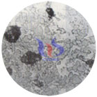 cemented carbide inserts manufacturing process cemented carbide inserts